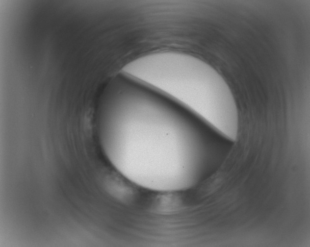 X0000083570275200702090823