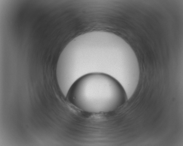 X0000083570280200702090823