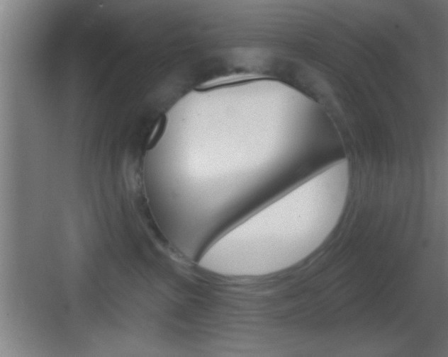 X0000083570285200702090823