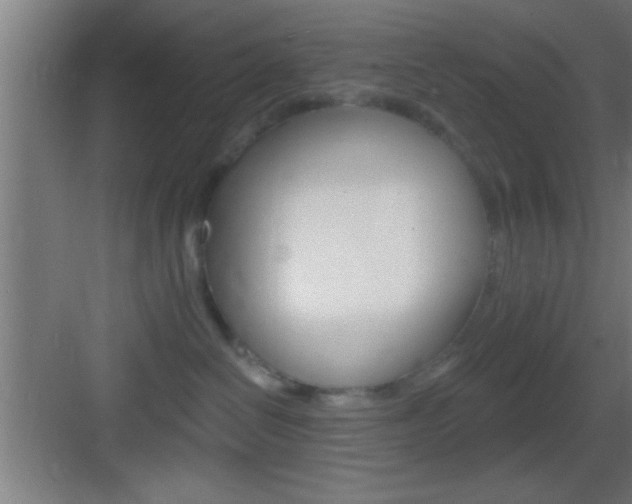 X0000083570286200702090823