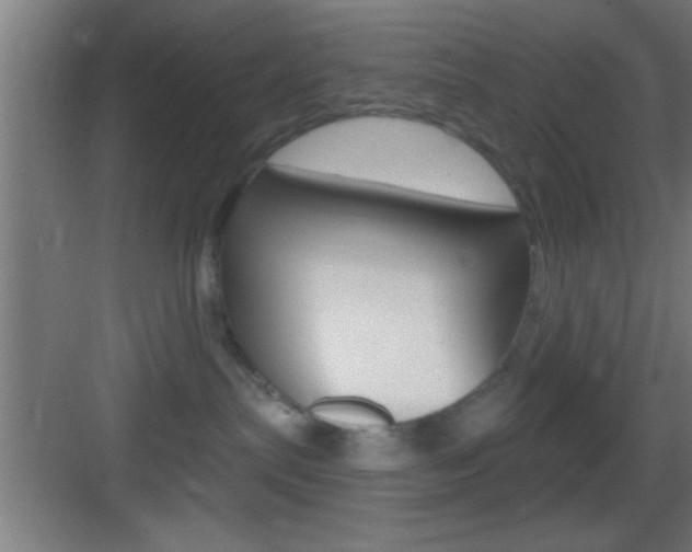 X0000083570287200702090823
