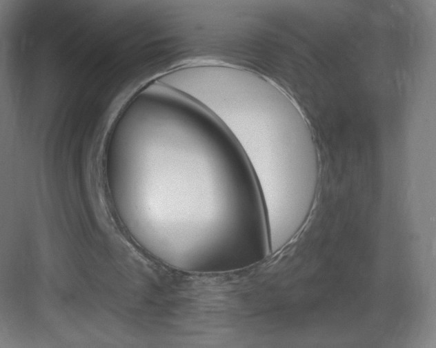 X0000083570289200702090822