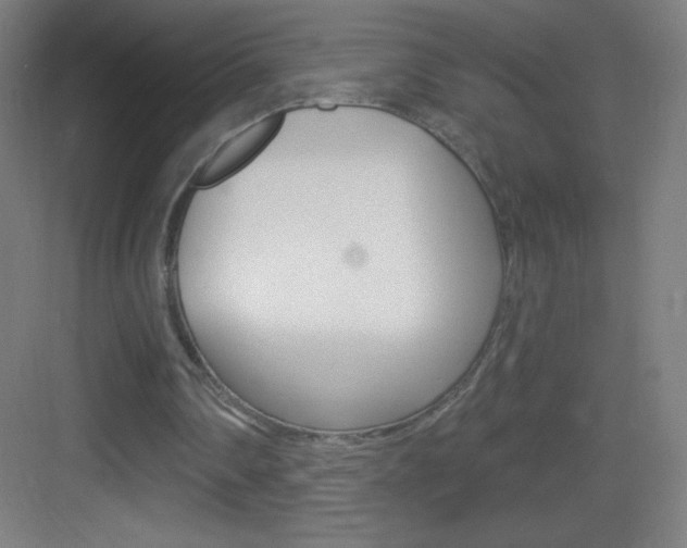 X0000083570290200702090822