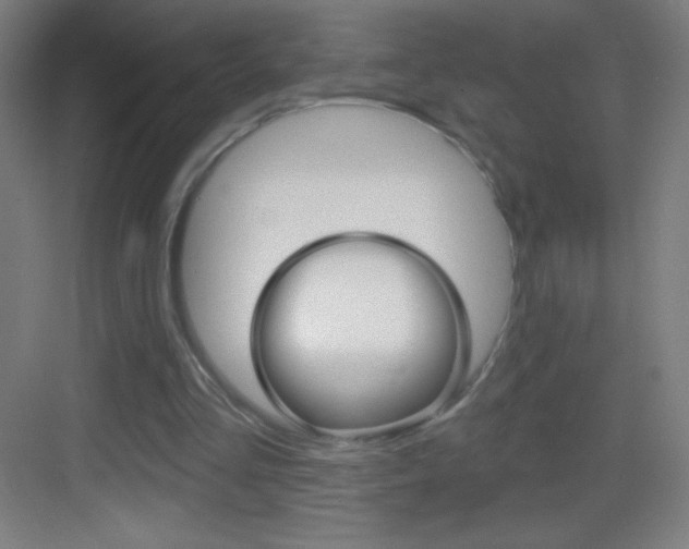 X0000083570293200702090822