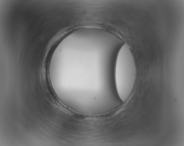 X0000083570294200702090822
