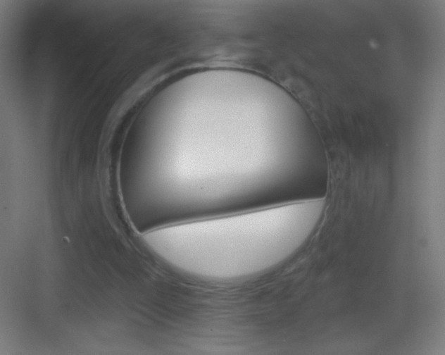 X0000083570295200702090822