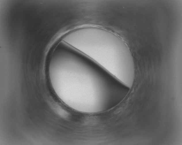 X0000083570296200702090822