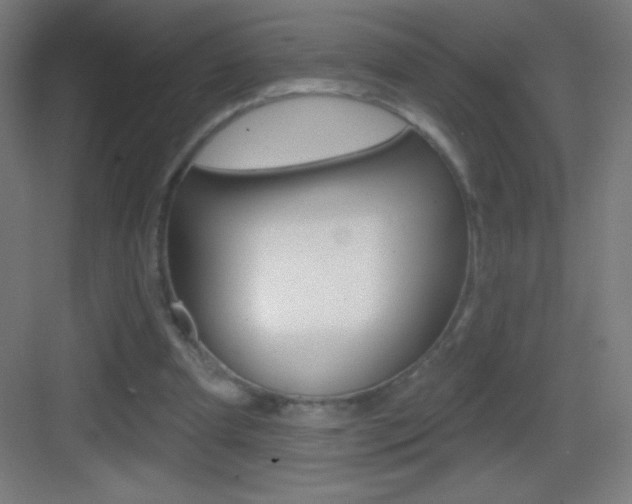 X0000083570297200702090822