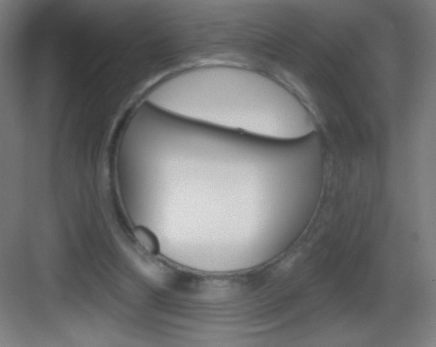 X0000083570298200702090822