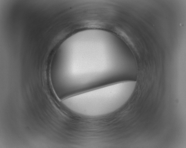 X0000083570299200702090822