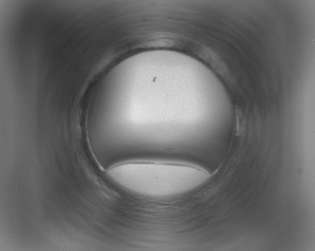 X0000083570300200702090822