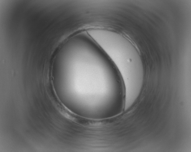 X0000083570301200702090822