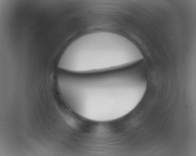 X0000083570308200702090822