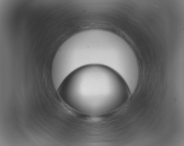 X0000083570313200702090822