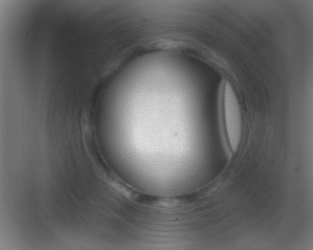 X0000083570317200702090822