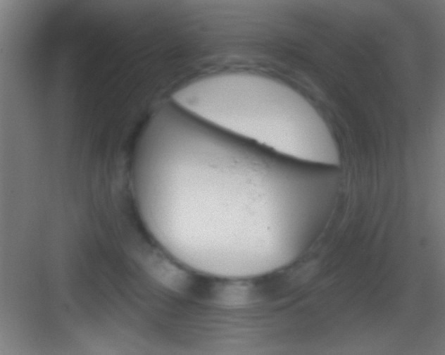 X0000083570318200702090822