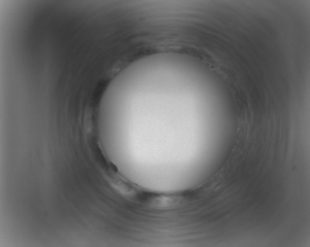 X0000083570323200702090822