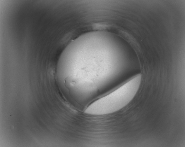X0000083570329200702090822