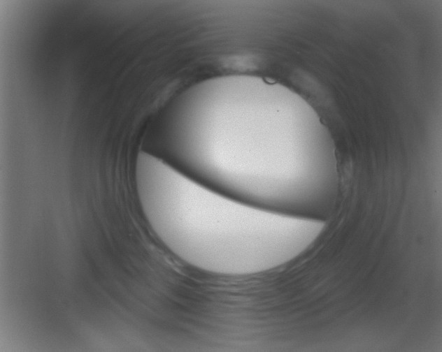 X0000083570330200702090822