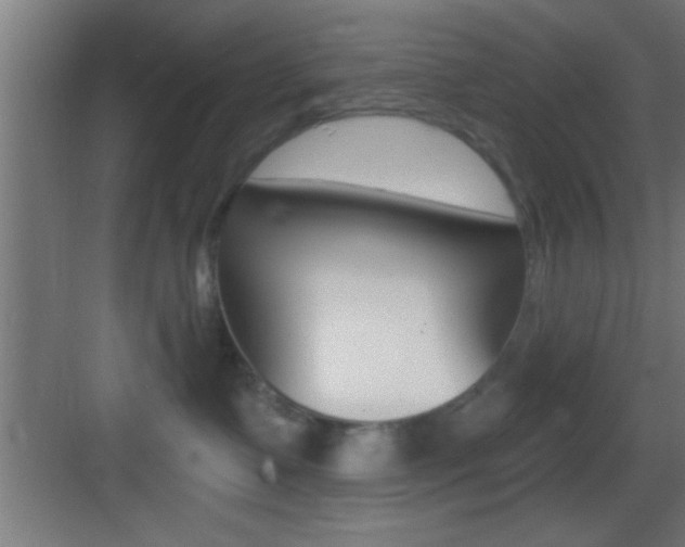 X0000083570335200702090821
