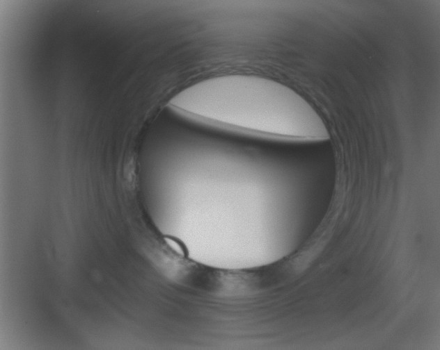 X0000083570336200702090821