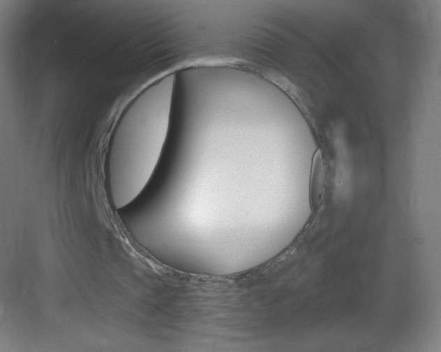 X0000083570337200702090821