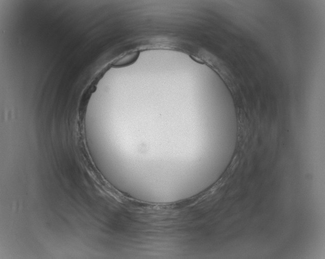 X0000083570338200702090821