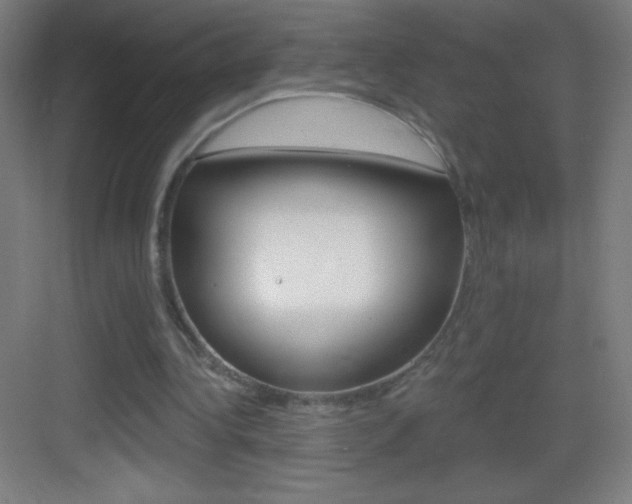 X0000083570340200702090821
