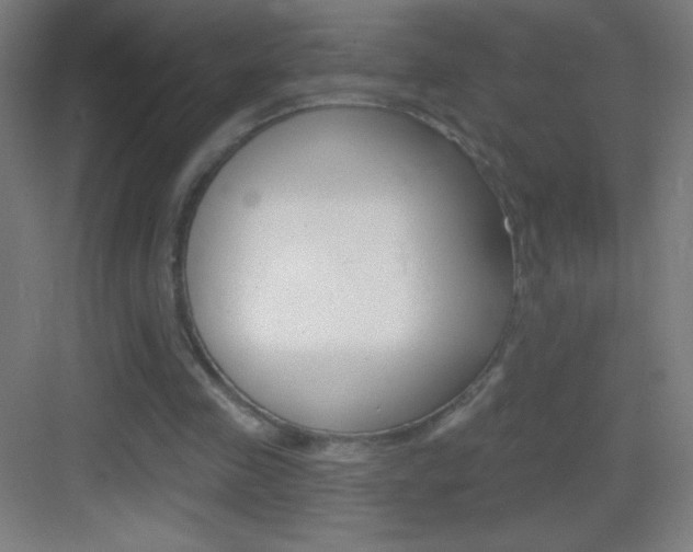 X0000083570341200702090821
