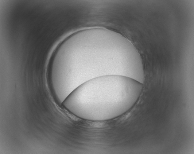X0000083570342200702090821