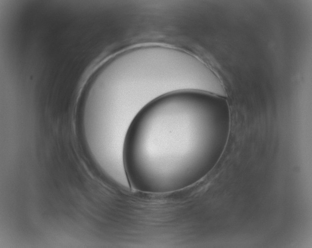 X0000083570344200702090821