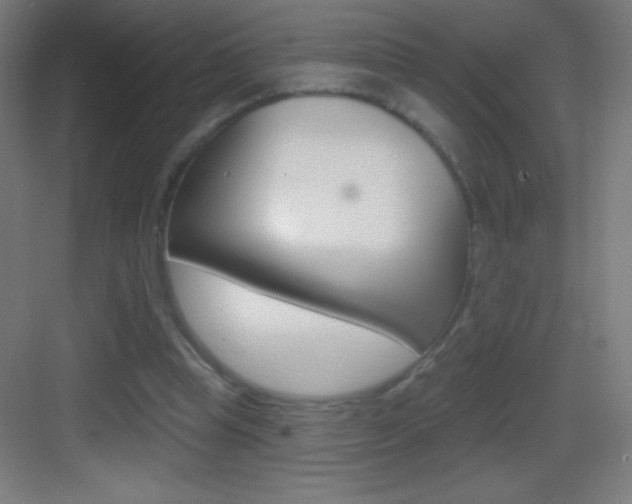 X0000083570345200702090821
