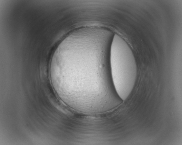 X0000083570347200702090821