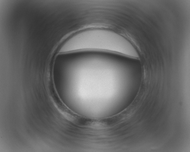 X0000083570348200702090821