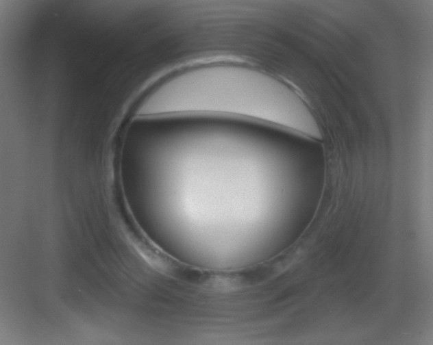 X0000083570350200702090821