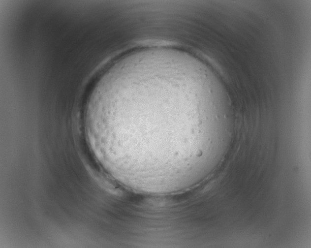 X0000083570351200702090821