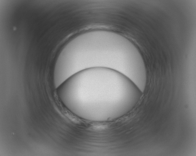 X0000083570352200702090821