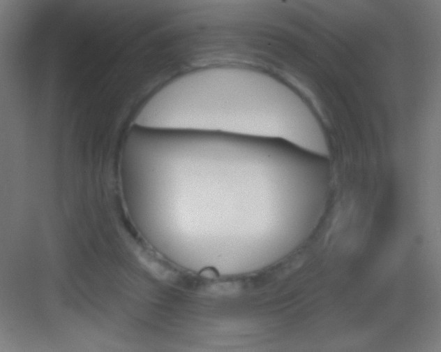 X0000083570353200702090821