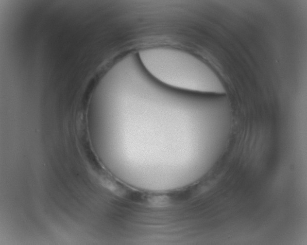 X0000083570355200702090821