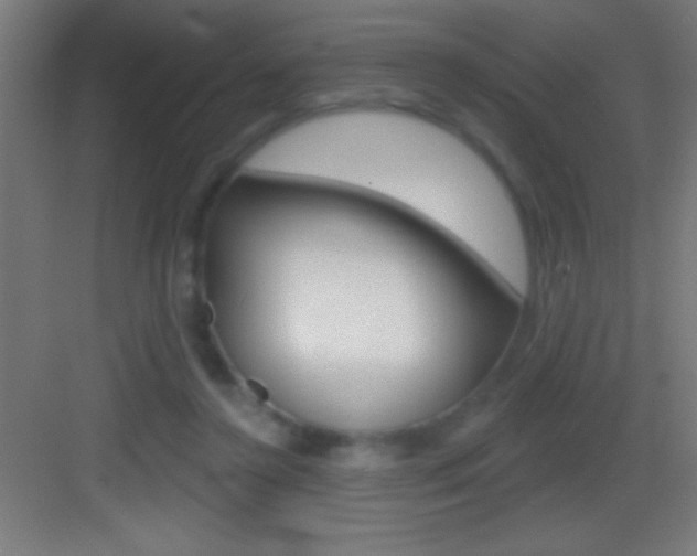 X0000083570356200702090821