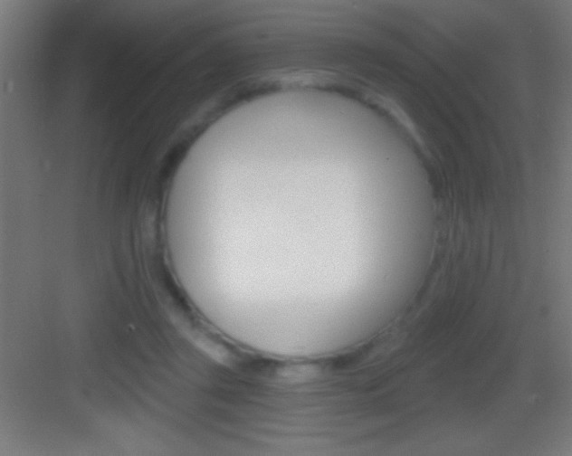 X0000083570357200702090821