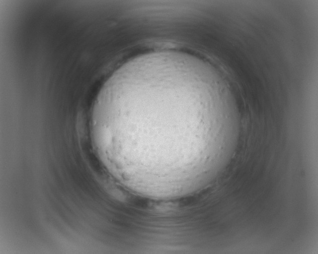 X0000083570359200702090821