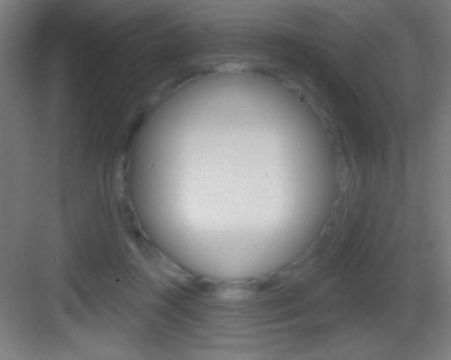 X0000083570360200702090821