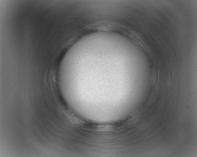 X0000083570363200702090821