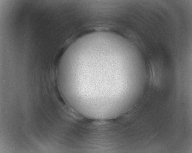 X0000083570367200702090821