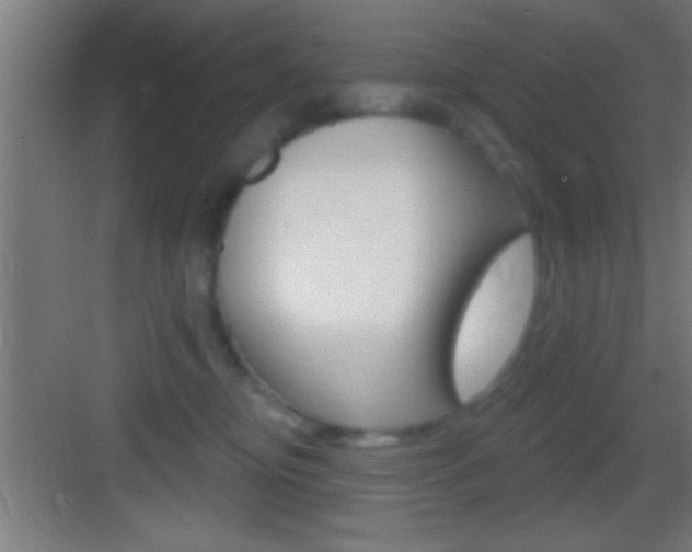X0000083570374200702090821