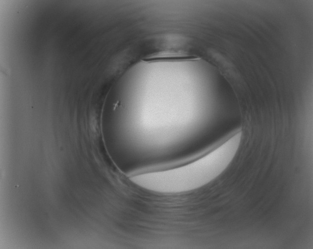X0000083570380200702090821
