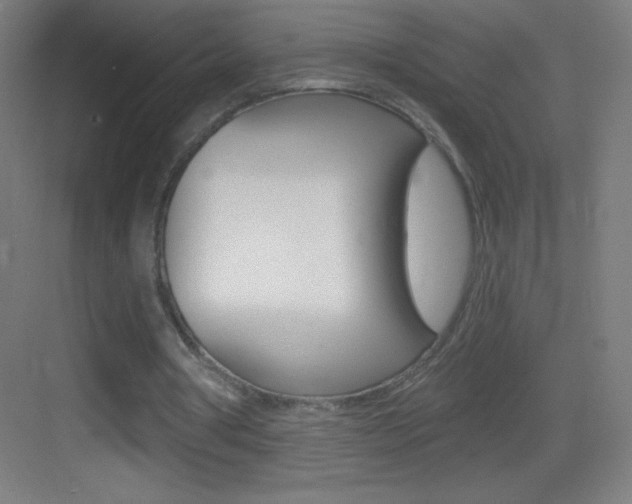 X0000083570386200702090821