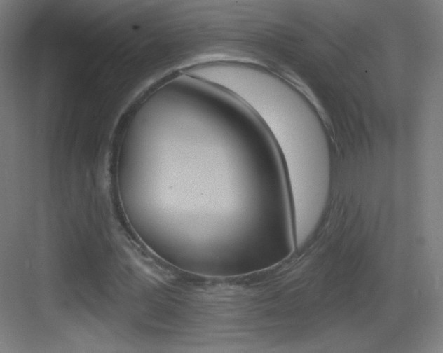 X0000083570387200702090821