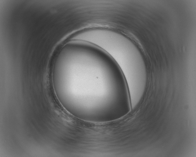 X0000083570388200702090821